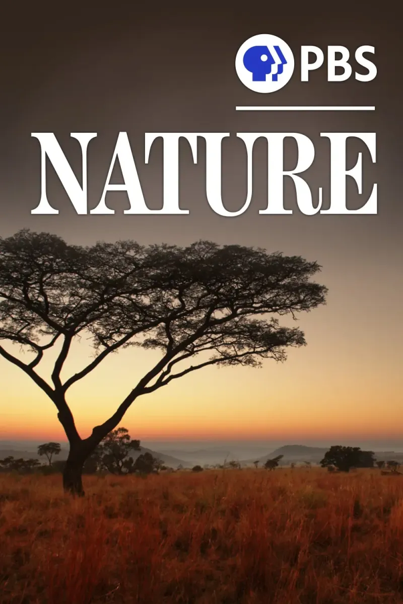 Nature poster