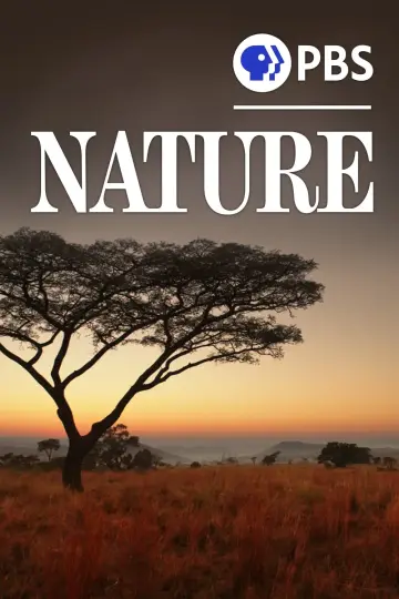 Nature poster